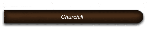Illustration einer Zigarre im Format Churchill mit Zentimeterskala