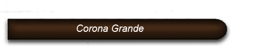 Illustration einer Zigarre im Format Corona Grande mit Zentimeterskala