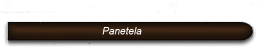 Illustration einer Zigarre im Format Panetela mit Zentimeterskala