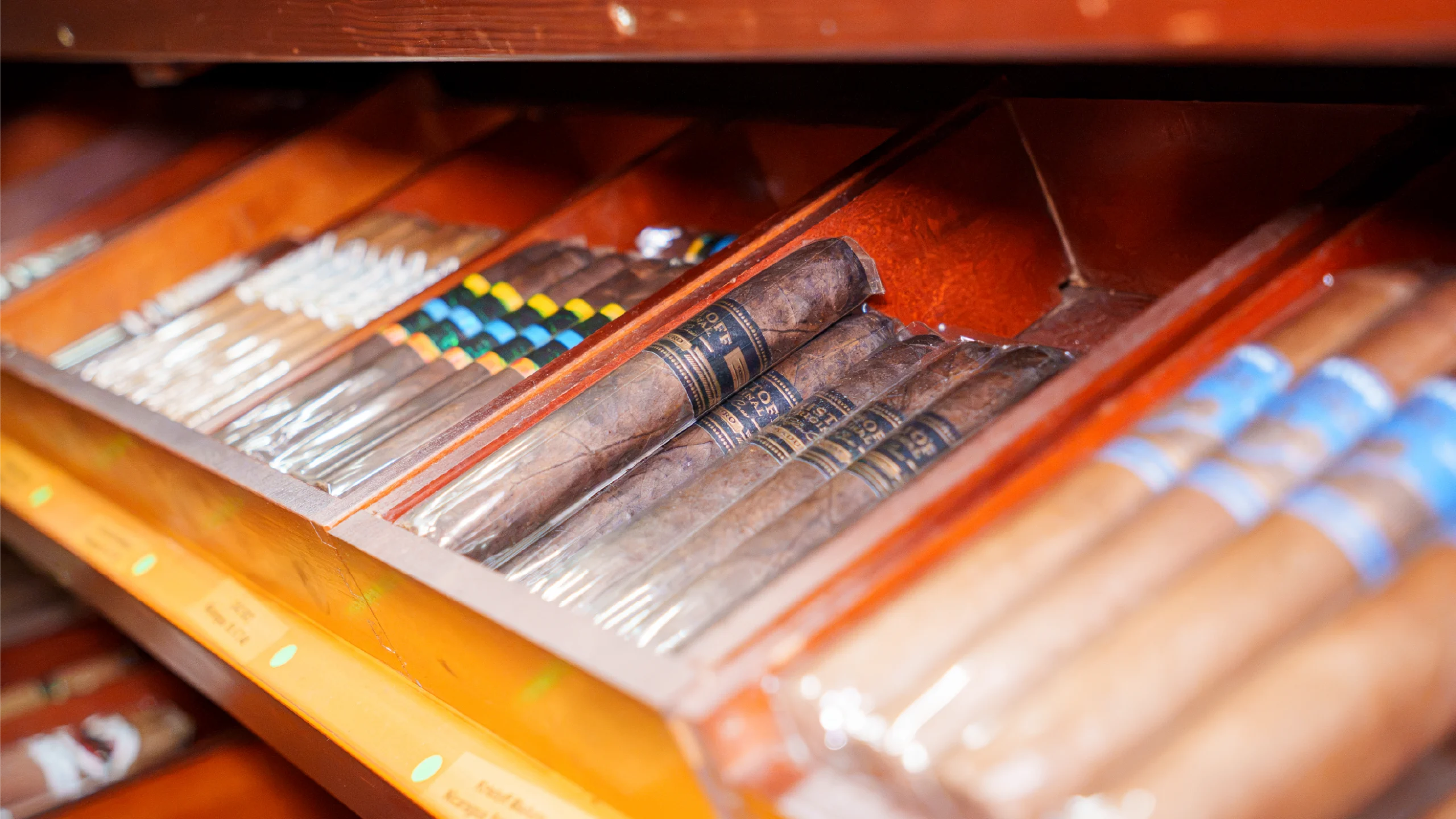Ausgewählte Zigarren in einer geöffneten Schublade des Humidors